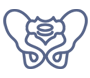 pelvic icon
